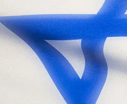 İsrail HAYIR çıksın istiyor