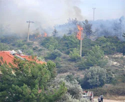 İzmir'de korkutan yangın