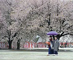 Japonlar daha uzun yaşıyor