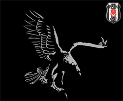 Kartal'ın millileri sevindirdi