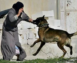 Kudüs'te ayrımcılığın bedeli