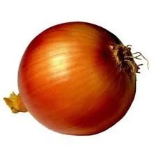 Kuru soğanda rekolte ne olacak?