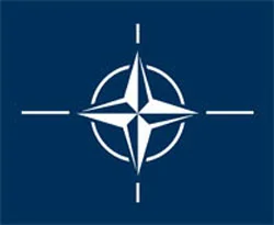 NATO, Kur'an yakma planını kınadı