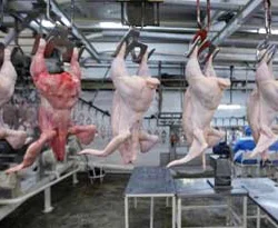 Rusya'da klorlu tavuk tartışması