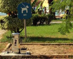 Sokak köpeklerine umumi tuvalet