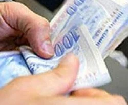 Türk ekonomisi Viyana'da ortak arayışında