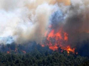 Bodrum'da 10 hektarlık alan yandı