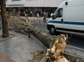 İstanbul'daki fırtınada çatılar uçtu