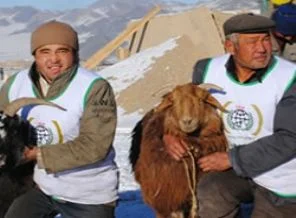 İyilik güneşin ilk doğduğu ülkeye ulaşacak!