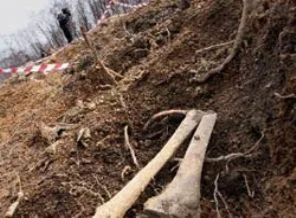 Japonya'da toplu mezar bulundu