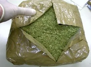 Meksika'da 105 ton marihuana ele geçirildi