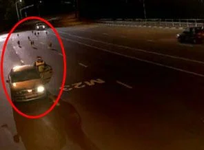 Rusya'da Otoyola Kurt Sürüsü İndi