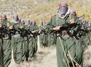 Terör örgütü PKK/PJAK'a darbe