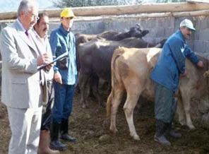 Trakya bölgesine hayvan sevki yasaklandı