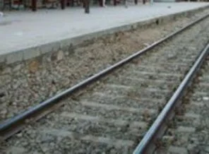 Trenin geldiğini duyamadı