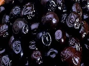 Zeytin alımları 25 Ekim'de başlıyor
