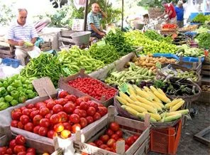 Zeytinburnu'na organik pazar