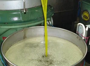 Zeytinyağında boğuldular
