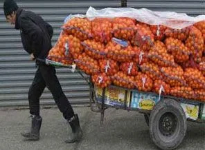 23 ton mandalina Rusya'dan geri geldi