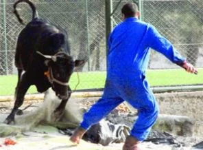 Acemi kasaplar yine hastanede