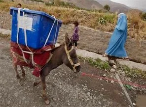 Alman ordusunun yeni silahı: Eşek