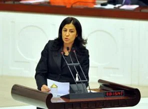 BDP'den iki araştırma önergesi