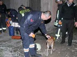 Boşluğa düşen köpeği itfaiye kurtardı