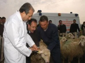 Çiftçilere hayvanlarını küpeletme uyarısı