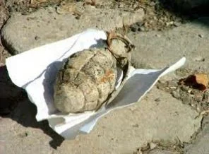 İngiliz yapımı el bombası bulundu