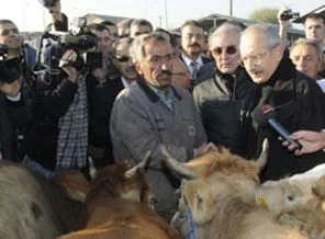 Kılıçdaroğlu kurbanlığını satın aldı