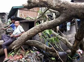 Myanmar'ı vuran kasırgada 45 kişi öldü