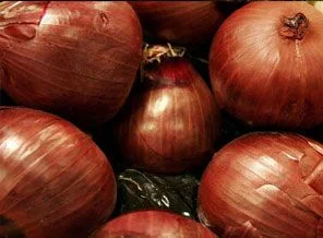 Soğan bu yılda göz yaşarttı