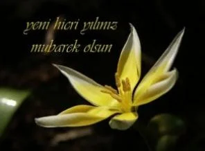 Bu gece yılbaşı, yarın 1432