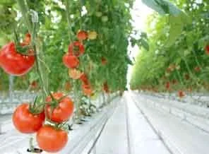 Denizli tarımda da başkent olacak