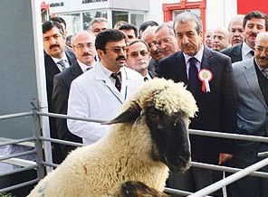 Eker: 'Eti pahalı yapan marketler'