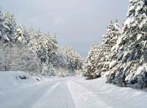 Eskişehir-Bursa karayolu kapandı