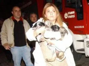 Evcil hayvan dükkanında yangın