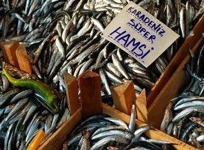 Hamsinin kasası 10 TL'ye düştü