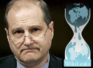 'Karanlık Büyükelçi' Wikileaks'in de starı