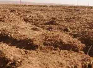 Mardin'de son 50 yılın en kurak sonbaharı