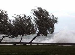 Marmara'da yine lodos