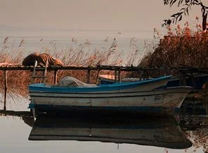 Sandalla gezinti kabusu