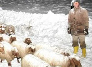 Soğuk ve kar can aldı