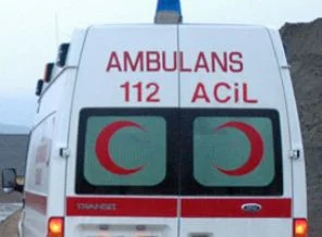 Üzerine tomruk devrilen kişi öldü