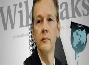 Wikileaks ve Türkiye'nin cezalandırılması
