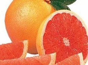40 yıl sonra greyfurt ihracatı başladı