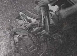 Apo diktatör, PKK faşist