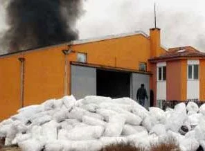 Çalışanlar mallar için zehirlendi