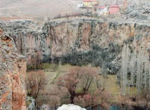 Caninin sonu kurbanı gibi oldu