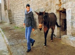 Diyarbakır'ın surları UNESCO'nun listesine girdi ama